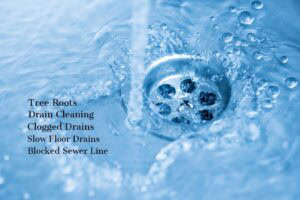 Washbasin and water