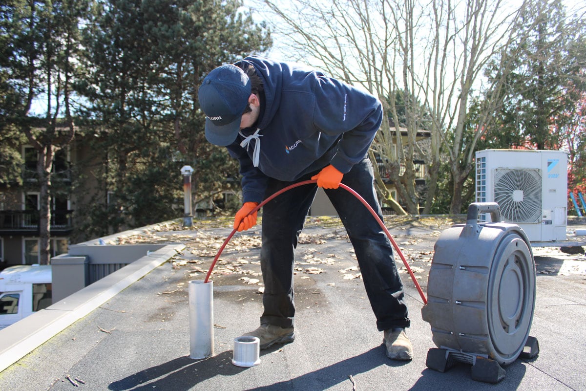 Drain Clearing